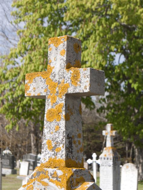 Stone cross in a cemetery