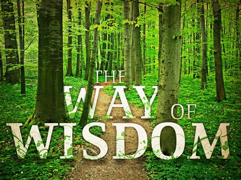 Forest path with the words The Way of Wisdom
